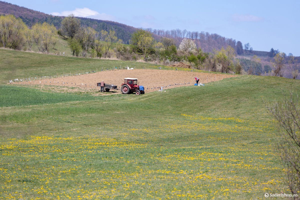 Május sem pótolta a csapadékhiányt. Szükség lenne még pár kitartó, csendes esőre a földeken •  Fotó: Erdély Bálint Előd