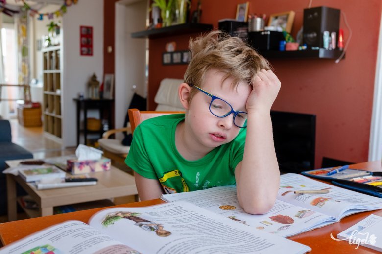 A szülő és a pedagógus feladata, hogy motiválja a gyermeket a tanulásban •  Fotó: Beliczay László