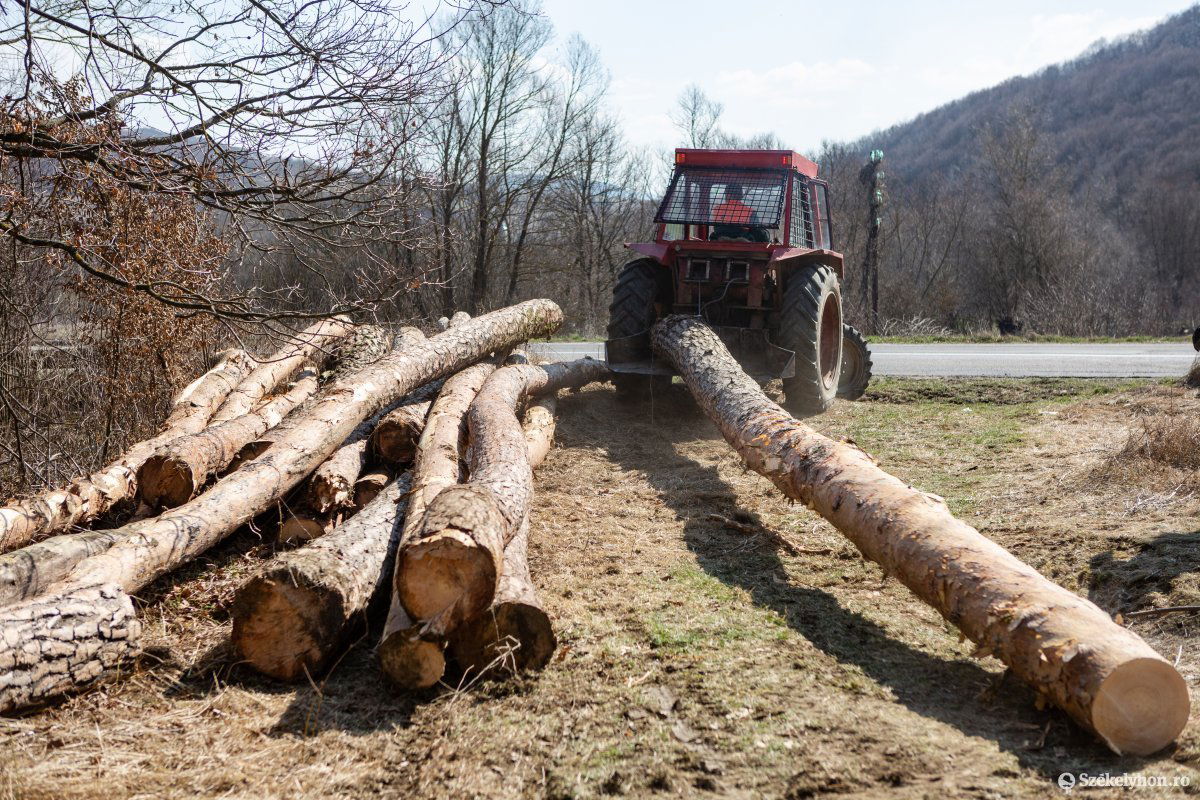 Képünk illusztráció •  Fotó: Erdély Bálint Előd