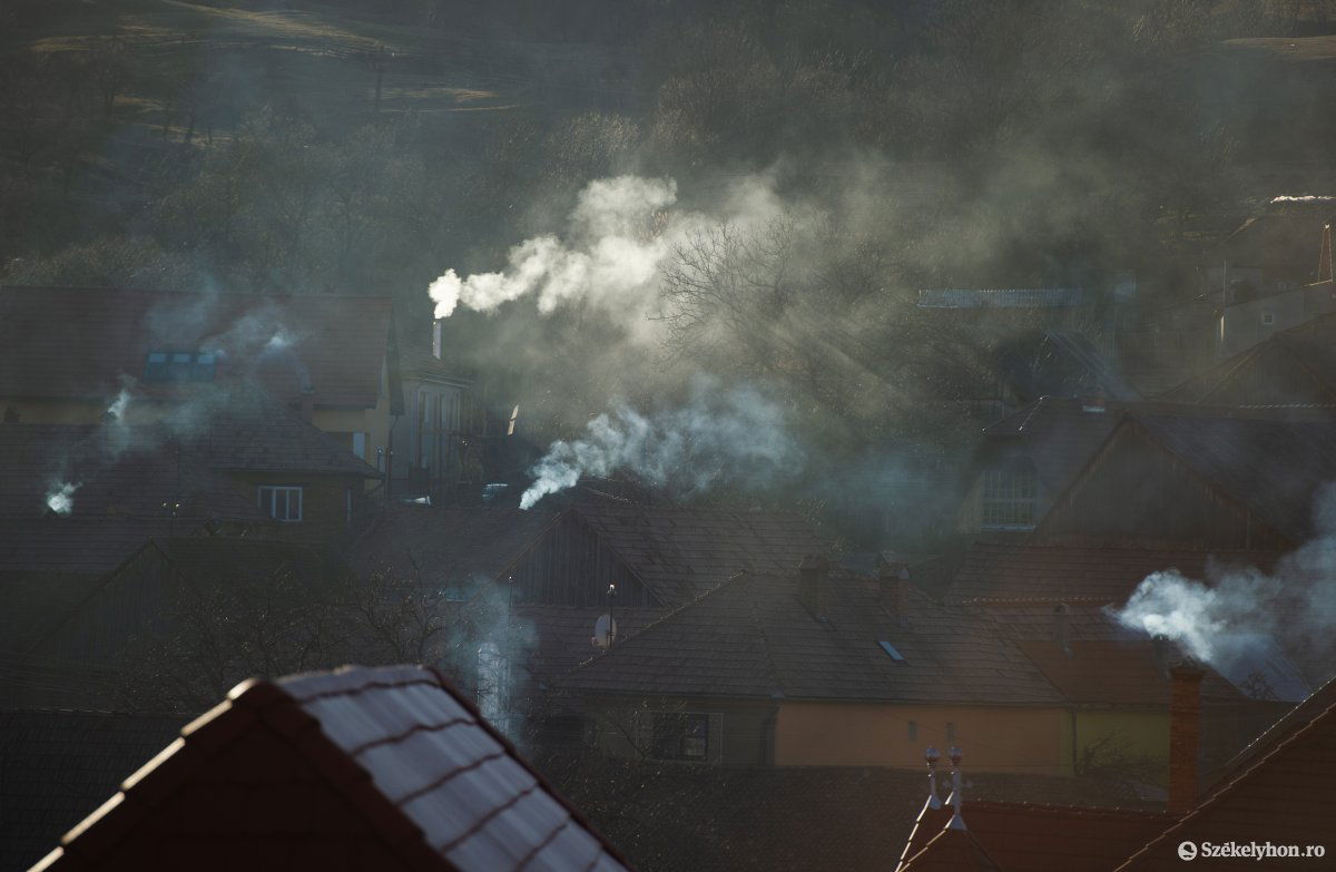 A házban élő, fával fűtők költségeit emelné meg a legjobban a karbonadó a szakemberek számítása szerint •  Fotó: Beliczay László
