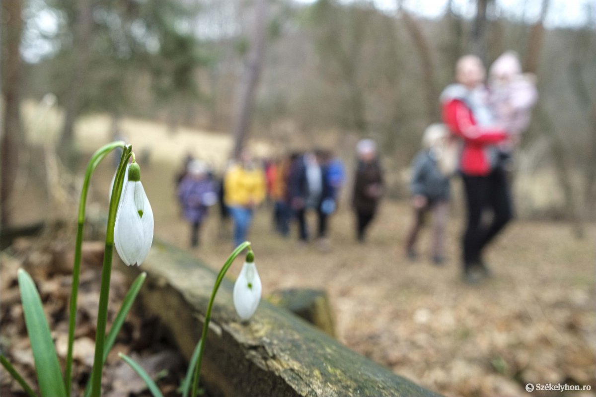 •  Fotó: Veres Nándor