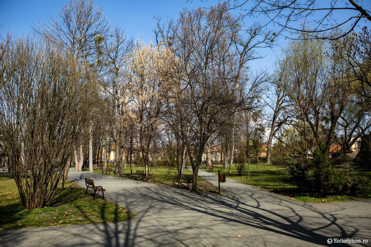 Vészjóslóan üres a városi park •  Fotó: Erdély Bálint Előd
