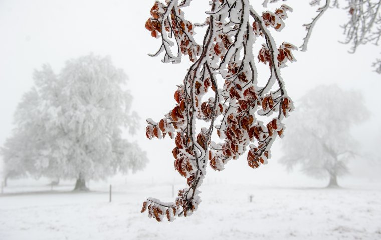 Erős szél, hóviharok – ez vár ránk hétfőn és kedden