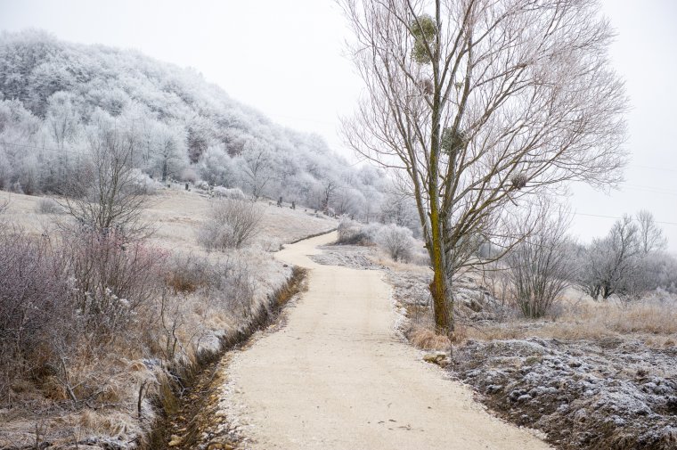 Ezt tartogatja az időjárás december utolsó napjaiban és az új évben