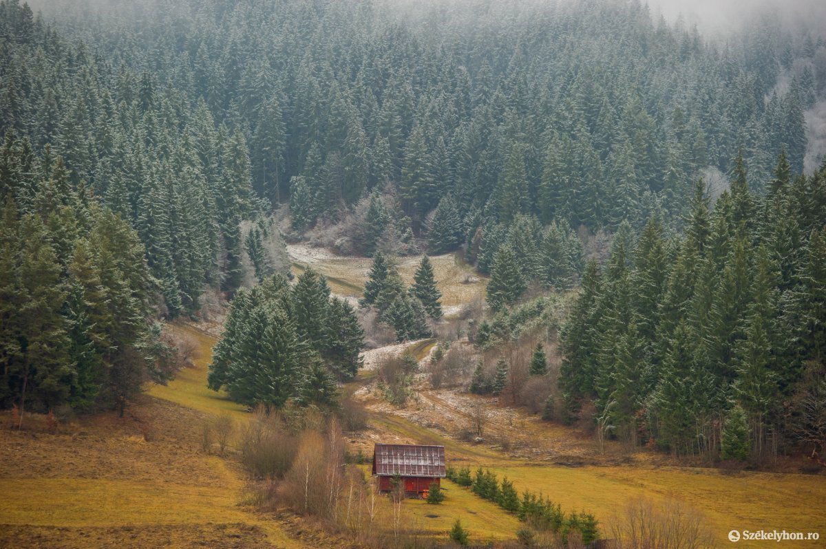 •  Fotó: Beliczay László