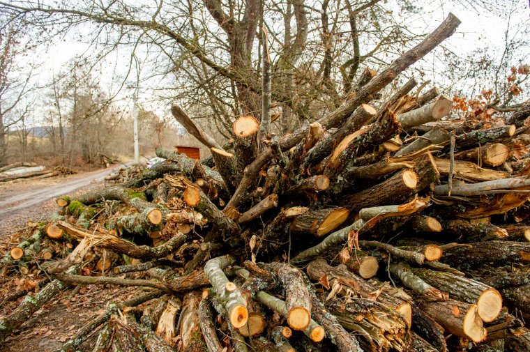 FRISSÍTVE – Korlátozta a kormány a tűzifa, a fabrikett és a pellet árát