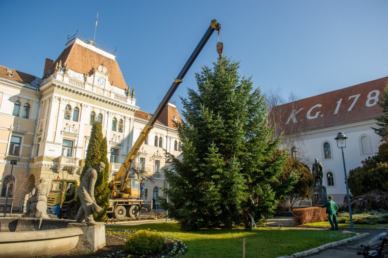 Felállították az ünnepi fenyőt Székelyudvarhelyen