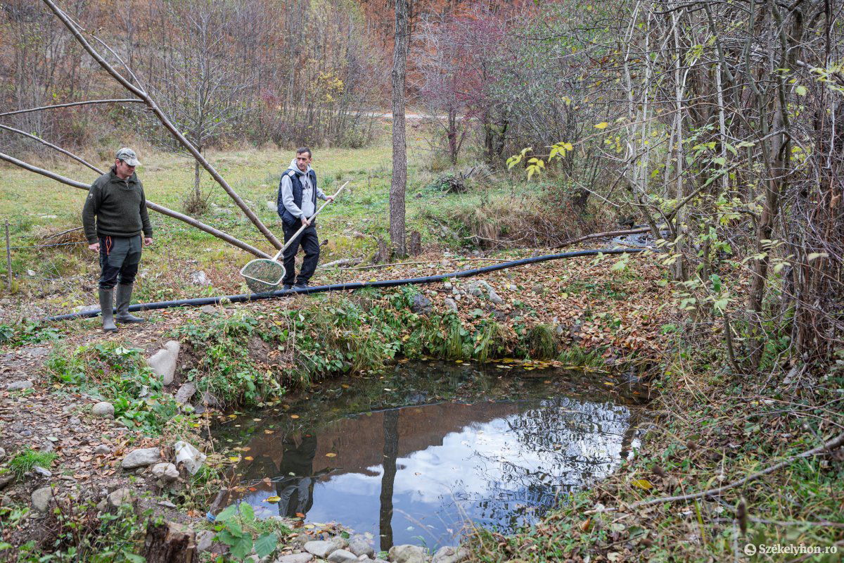 •  Fotó: Erdély Bálint Előd