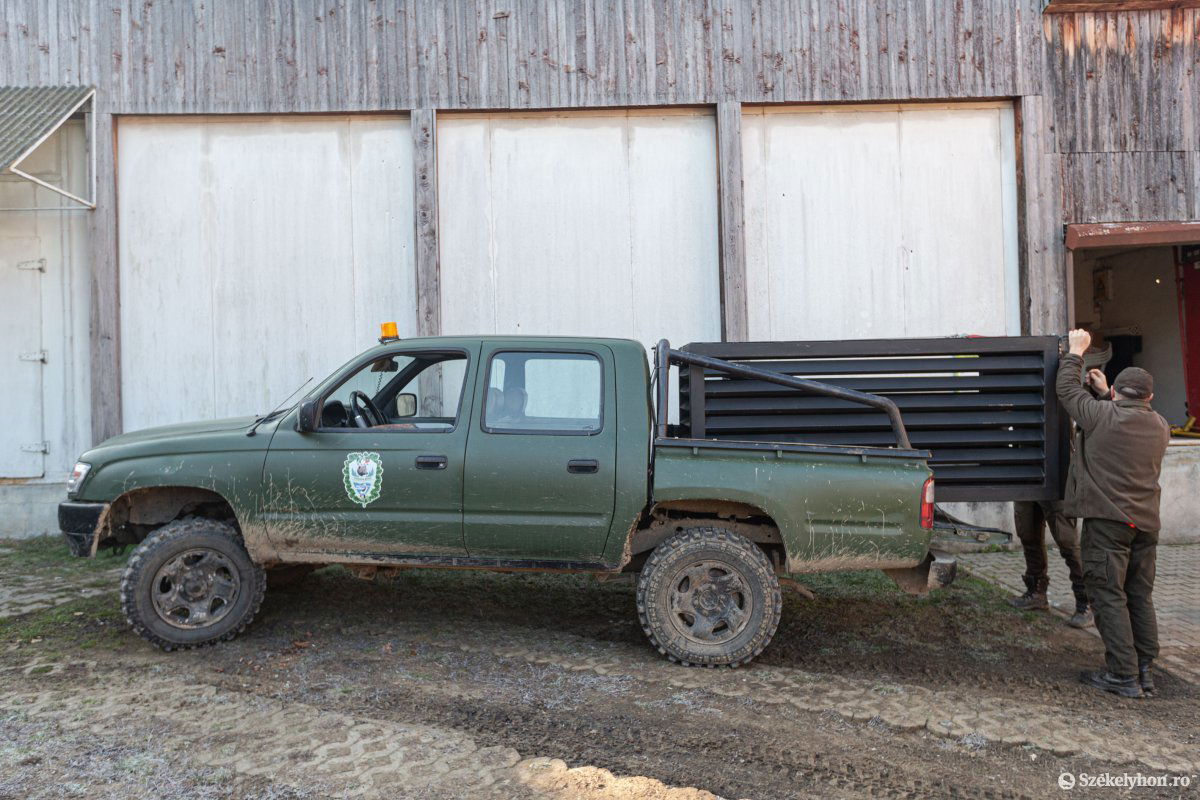 A törvényeknek megfelelő módon szállíthatják el a befogott medvéket az új ketreccel &bullet;  Fotó: Erdély Bálint Előd