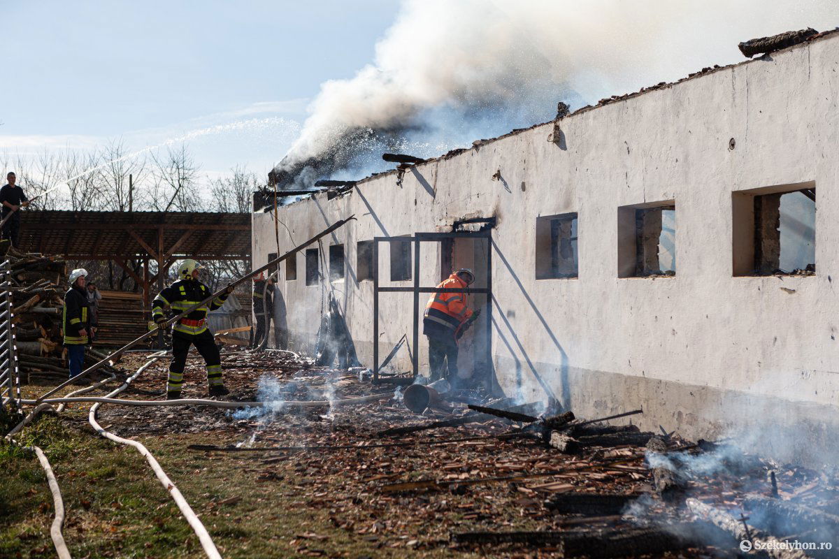 •  Fotó: Erdély Bálint Előd