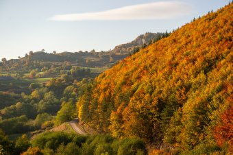 Alkotmánybíróságon támadta meg a természetvédelmi területek visszaminősítését lehetővé tevő törvényt az elnök