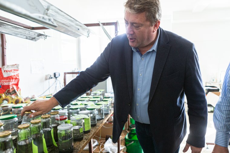 Keresztúri bioszén: Kelet-Európa-szinten is egyedi lehet