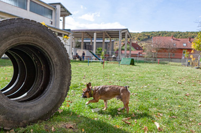 A járvány miatt állt le a Szólj bele! közösségi ötletbörze kivitelezése