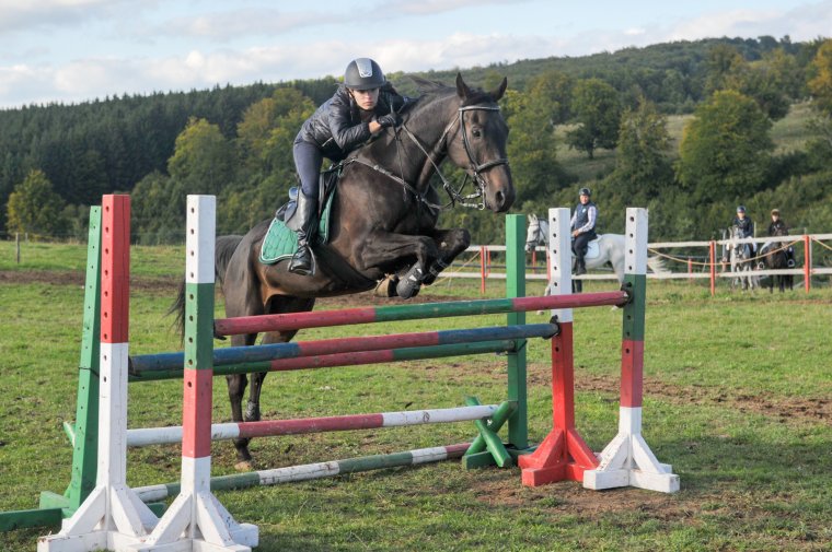 A lovak kerültek a középpontba a Kalonda-tetőn