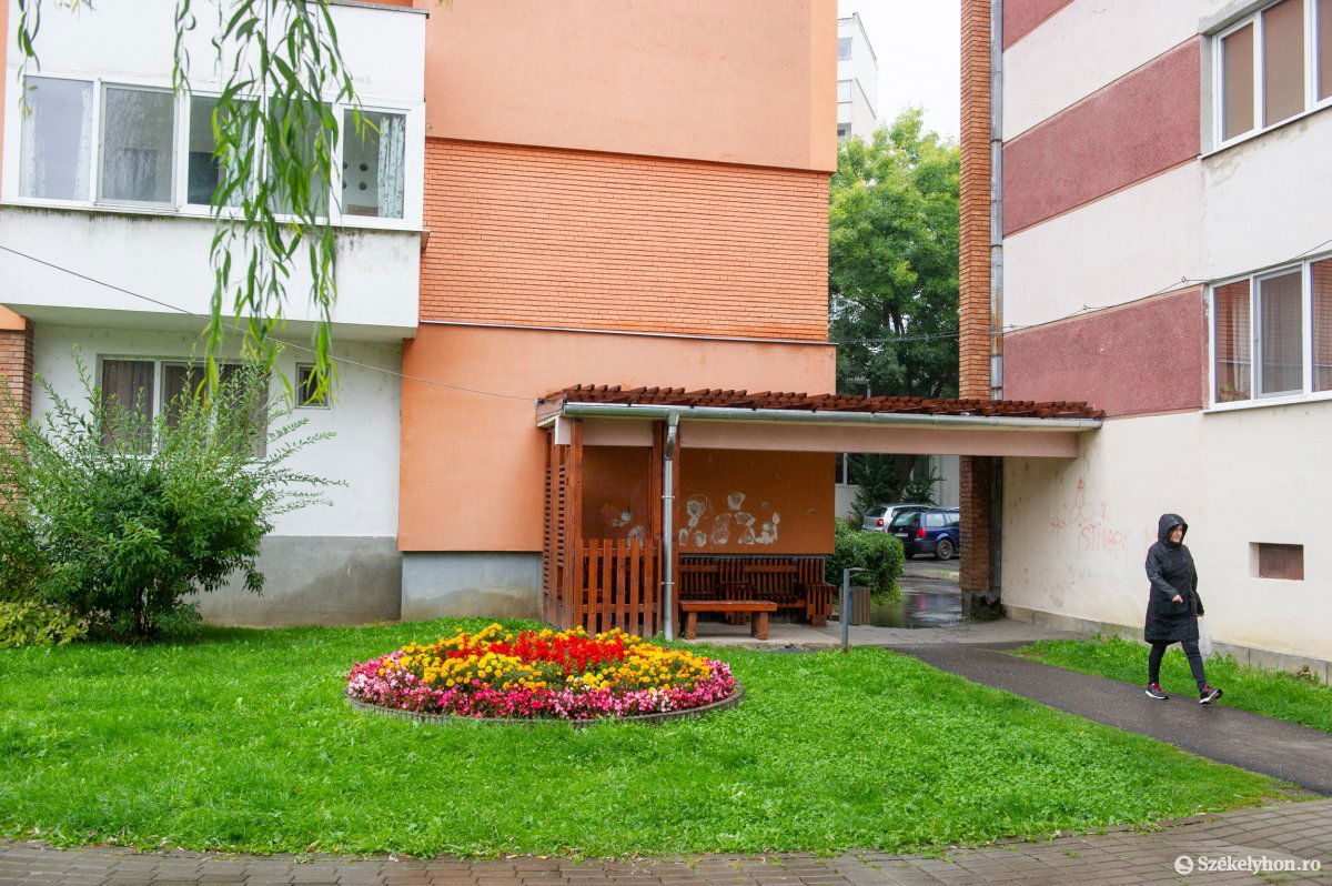 •  Fotó: Beliczay László
