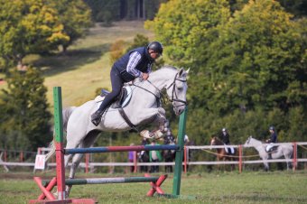 Díjugrató versenyre készülnek Kissolymoson