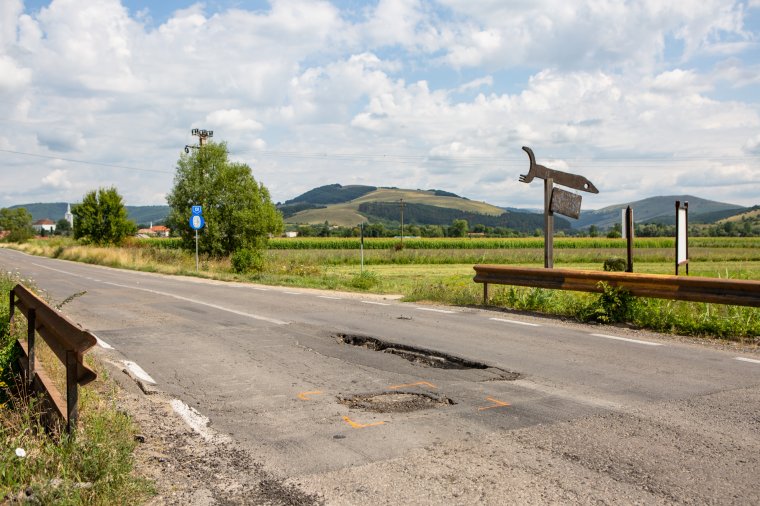 Medvét ütöttek el Recsenyéd és Homoródszentmárton között