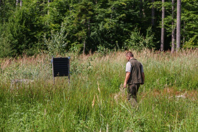 Hiába nagy a profit, több mint 400 alkalmazottjától válik meg az állami erdészet