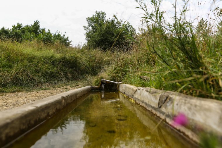 Még egy vizsgálat a biztonság kedvéért: iható a népszerű forrás vize