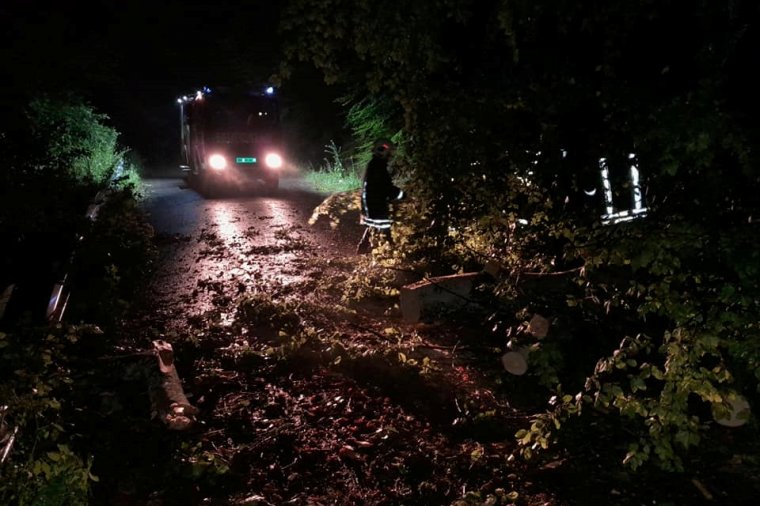 Autóra és útra dőltek fák Székelykeresztúr térségében