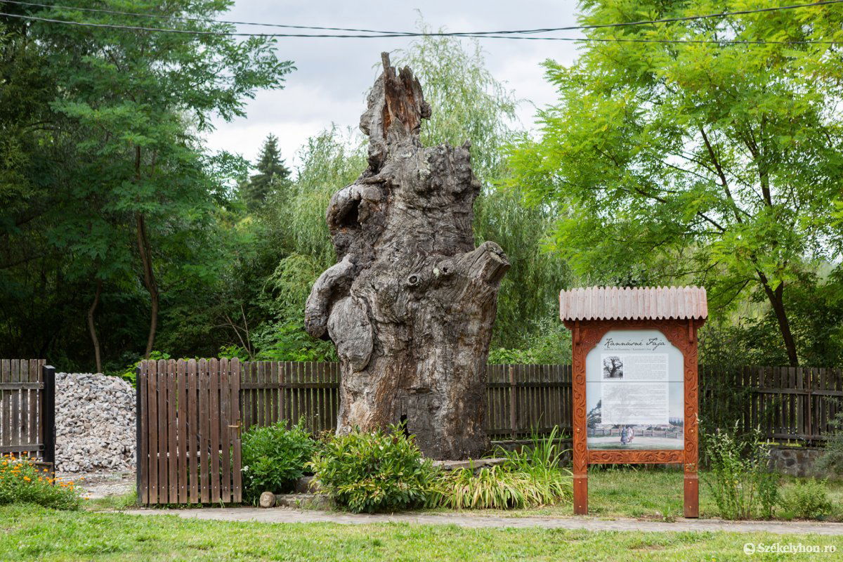 A szejkei borvízmúzeum programját a Mini Erdély Parkéhoz igazították •  Fotó: Erdély Bálint Előd