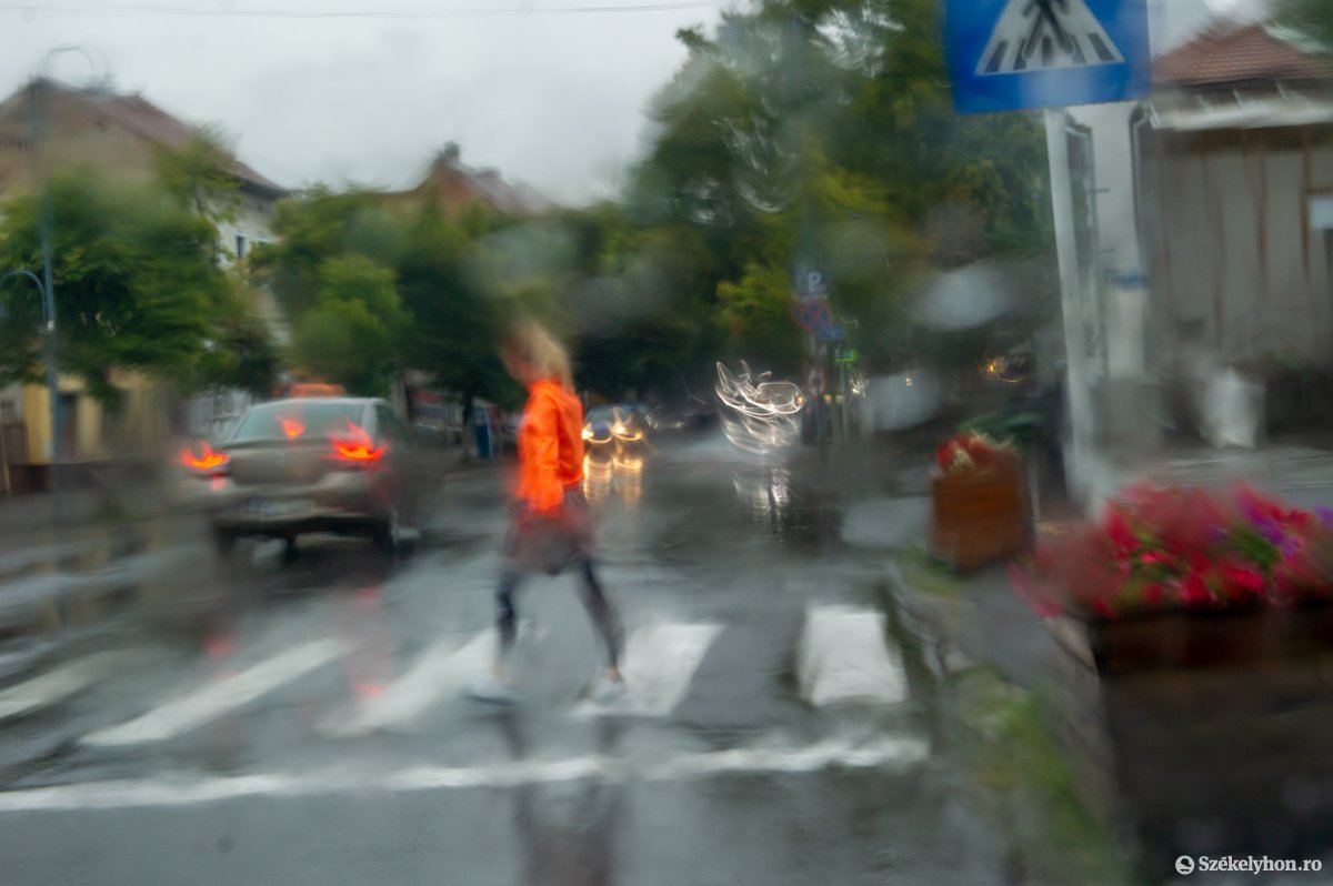 Képünk illusztráció •  Fotó: Beliczay László