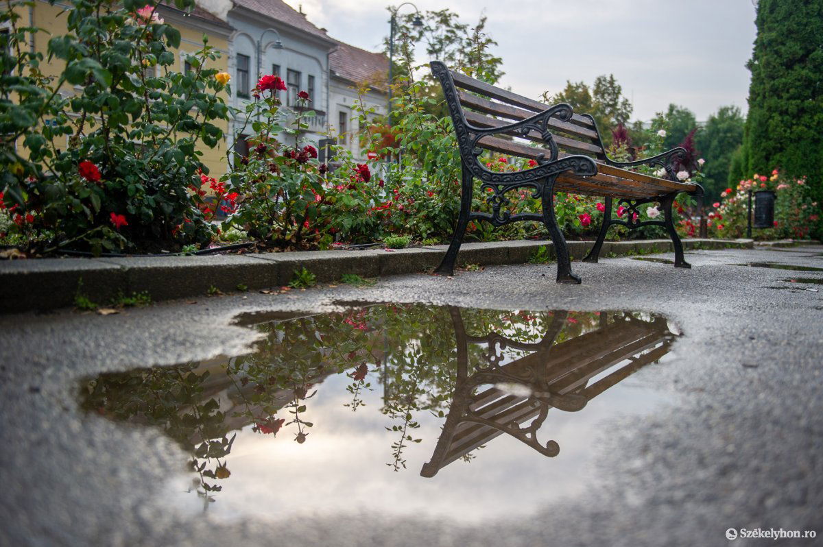 •  Fotó: Beliczay László