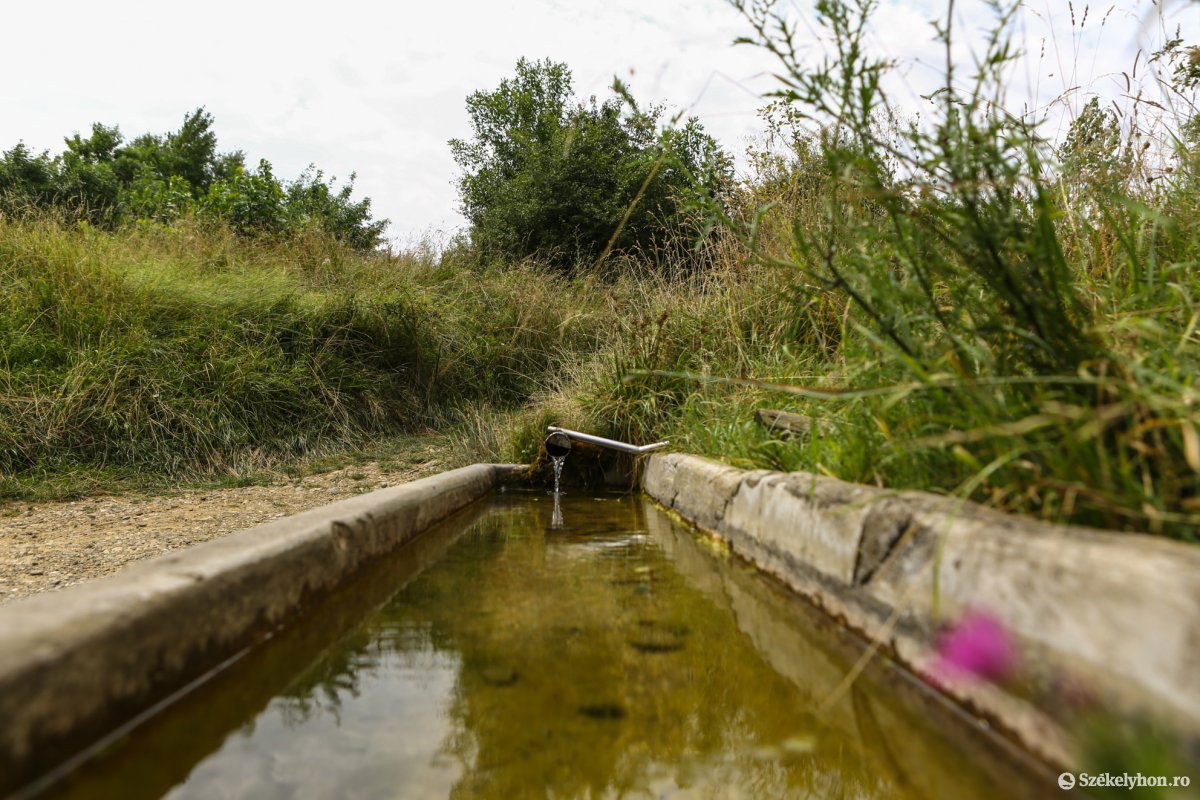 Az új laborvizsgálat szerint nem káros az egészségre a forrás vize. A környezet azonban lehangoló &bullet;  Fotó: Erdély Bálint Előd