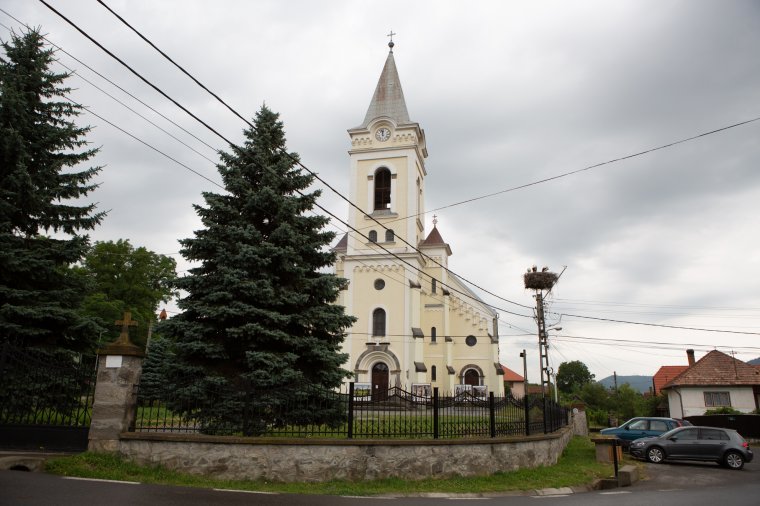 Idegen gólyák támadtak az árván maradt zetelaki gólyafiókákra