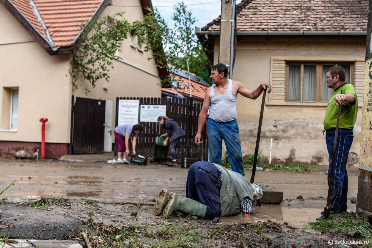 Képünk illusztráció •  Fotó: Erdély Bálint Előd