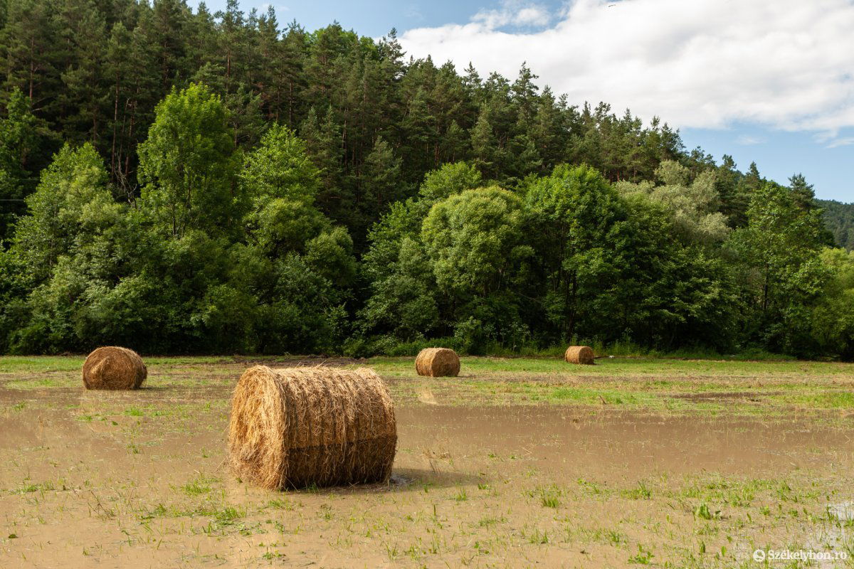 Képünk illusztráció &bullet;  Fotó: Erdély Bálint Előd