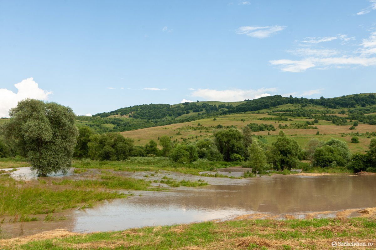 Képünk illusztráció •  Fotó: Erdély Bálint Előd