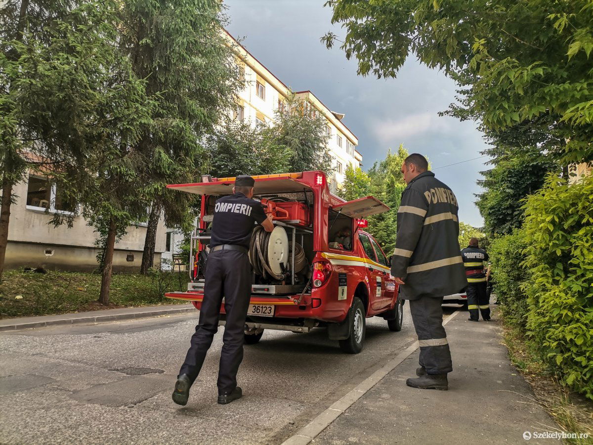 &bullet;  Fotó: Erdély Bálint Előd