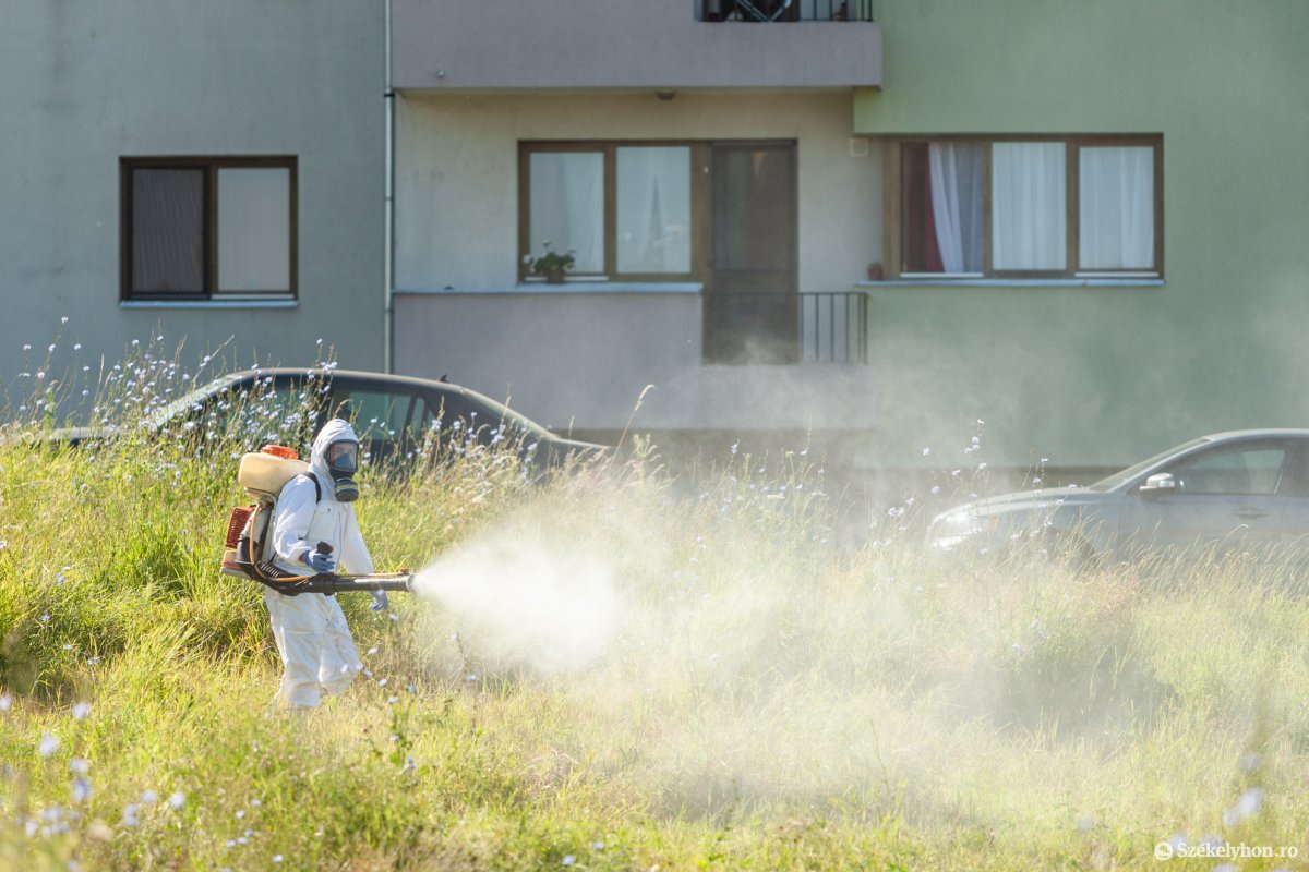 Képünk illusztráció • Fotó: Erdély Bálint Előd