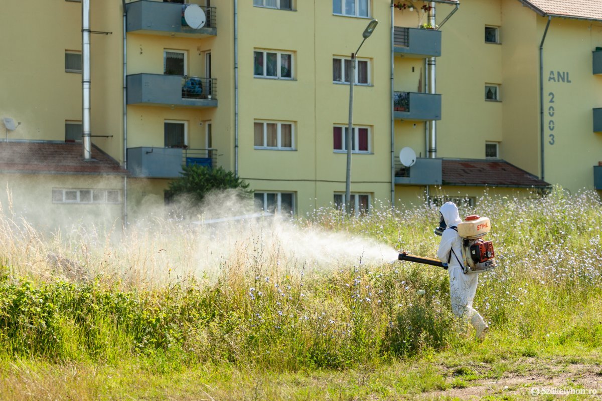 Képünk illusztráció • Fotó: Erdély Bálint Előd