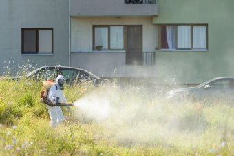 Szúnyogirtás lesz Székelyudvarhelyen hétfőn este