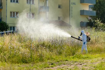 Szúnyog-és kullancsirtás lesz Székelyudvarhelyen