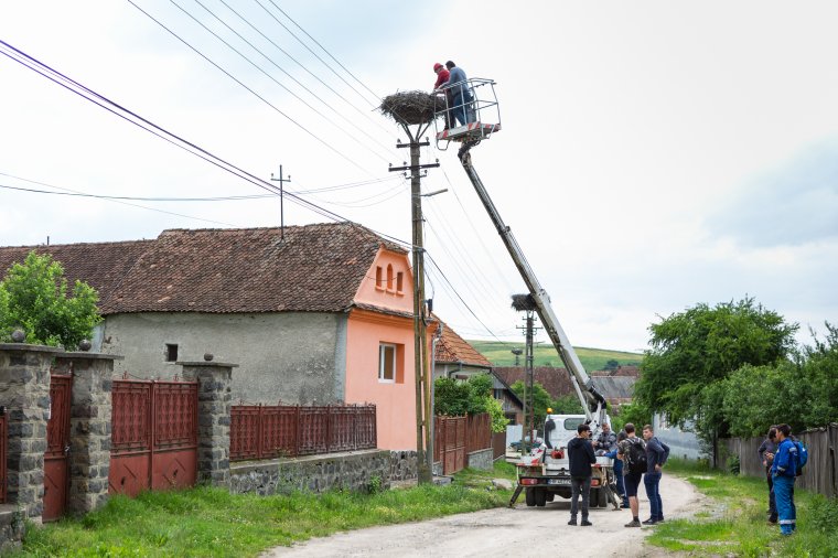 „Bekopogtak” a homoródszentpáli gólyákhoz