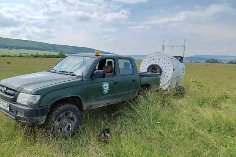 Medvecsapdát helyeztek el a Csereháton