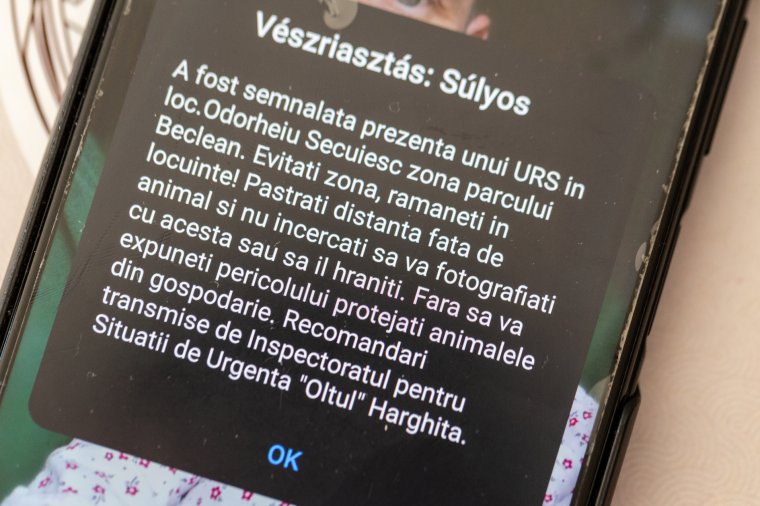 Medve miatt riasztották a hatóságokat Székelyudvarhelyen, dörrenéseket is lehetett hallani