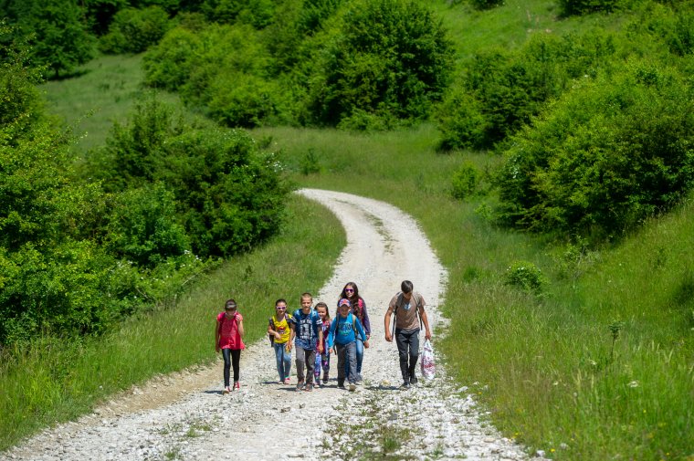 Mindennapi küzdelem és kitartás az elszigetelt tanyavilágban