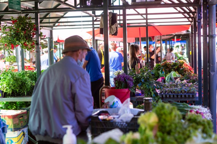 Palánták és friss zöldségek a székelyudvarhelyi piacon