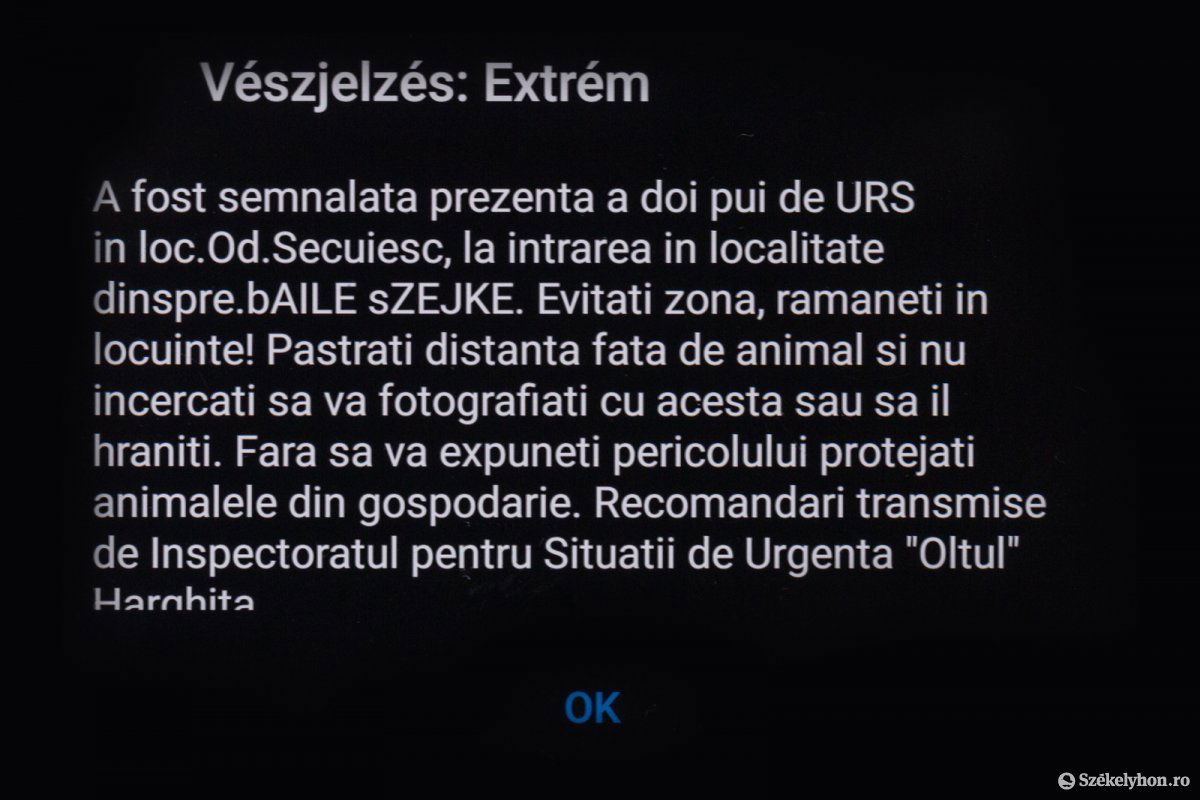 •  Fotó: Erdély Bálint Előd
