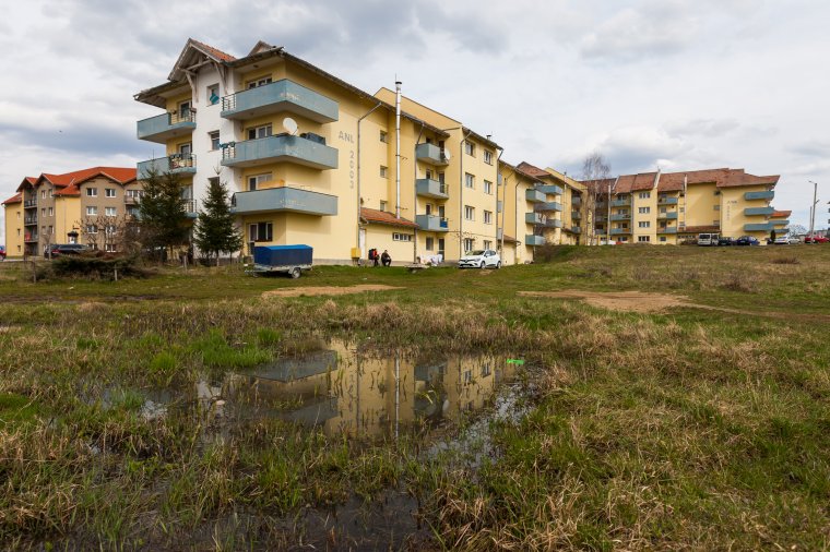 Medve járt a tömbházak között Székelyudvarhelyen