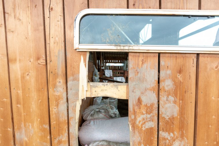 Medveügyben, amire rövidtávon számítani lehet: egyre gyakrabban fognak bejárni