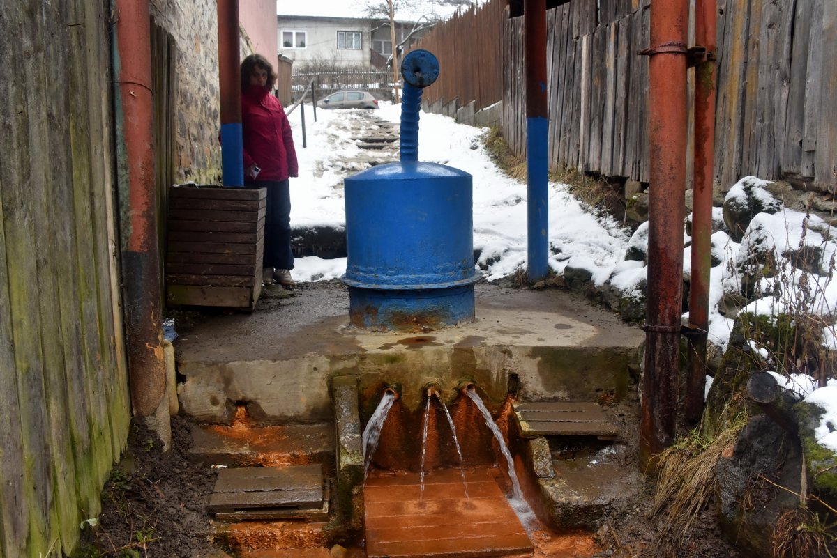 Szentegyházi Lobogó-forrás. • Fotó: Zsigmond Andreea-Rebeka 