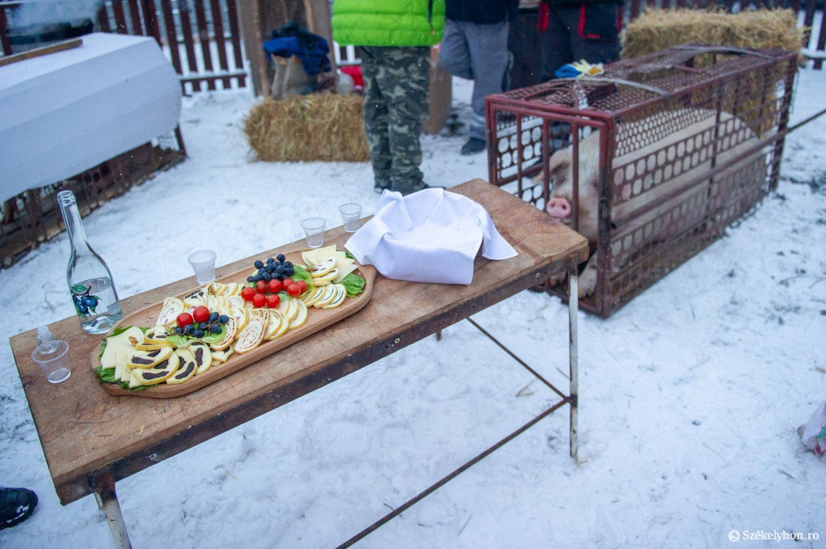 &bullet;  Fotó: Beliczay László