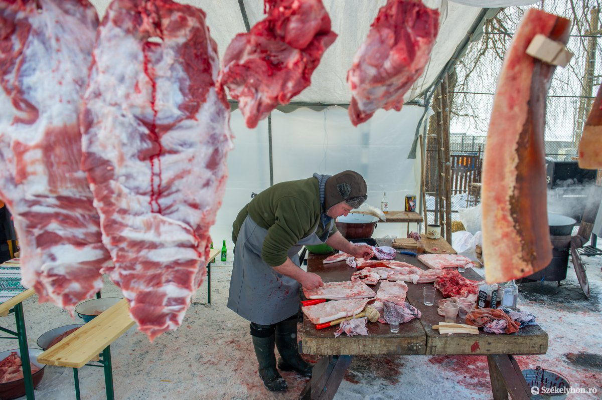 &bullet;  Fotó: Beliczay László