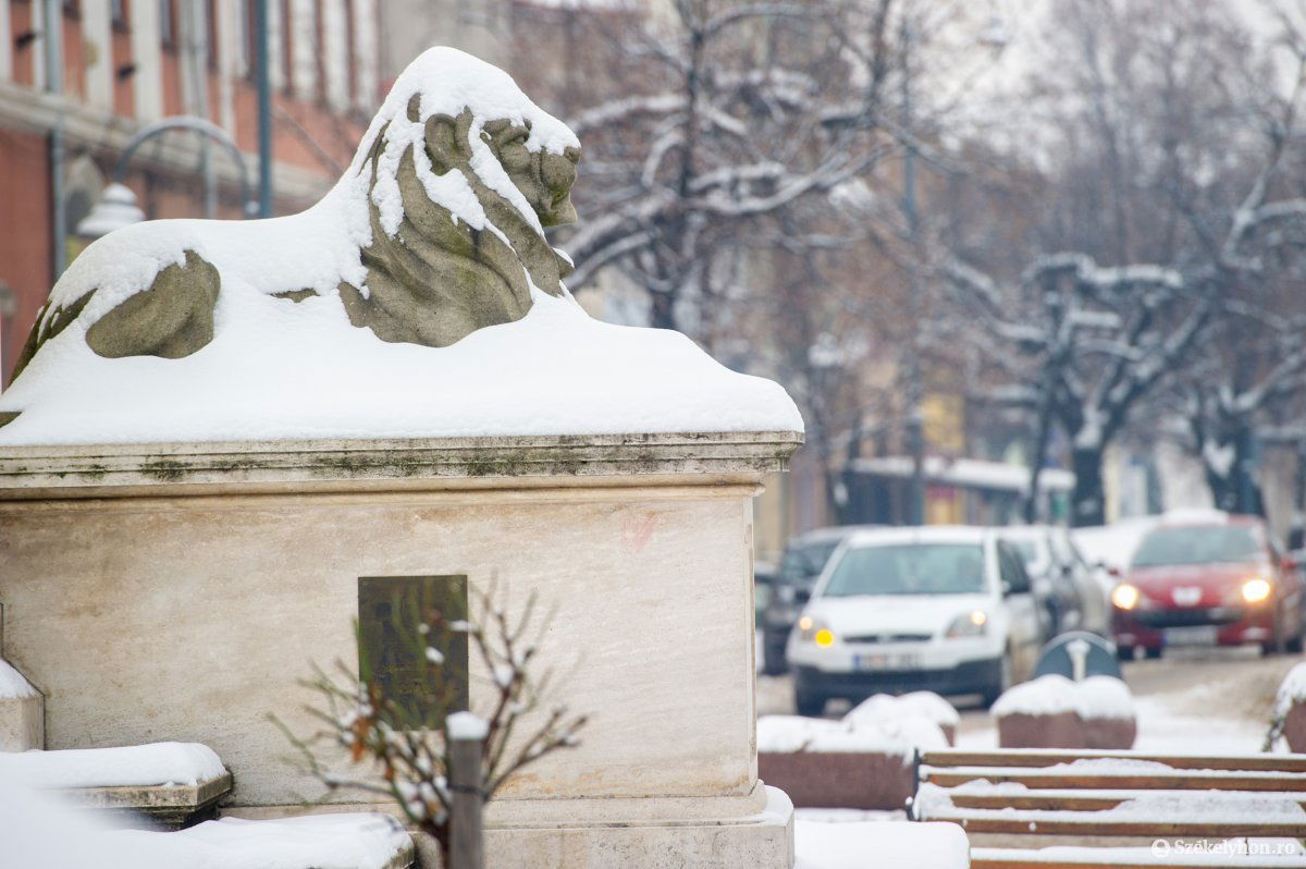 &bullet;  Fotó: Beliczay László