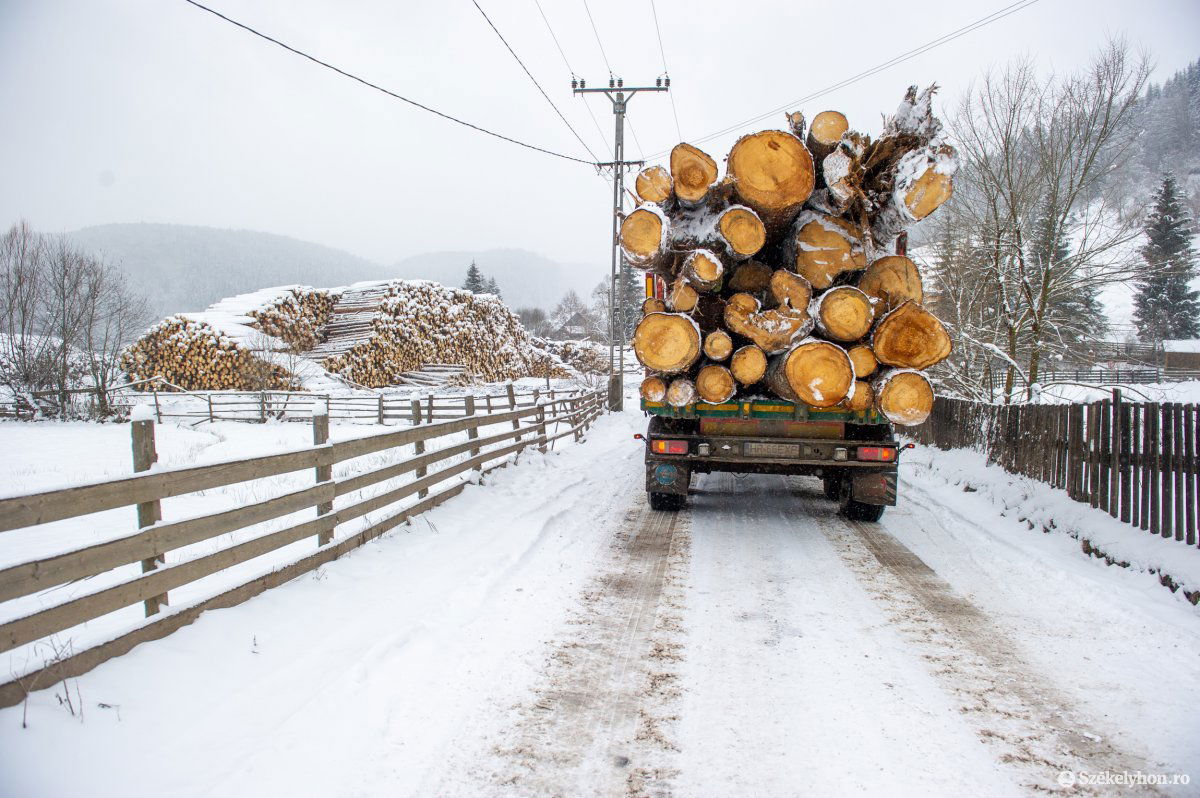 •  Fotó: Beliczay László